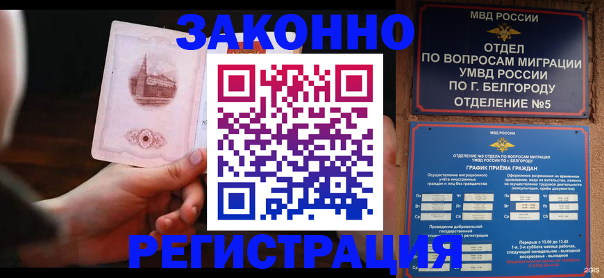 прописка 2025 в Бавлах
